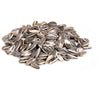 In-Shell Roasted Sunflower Seeds (Salted) - CM