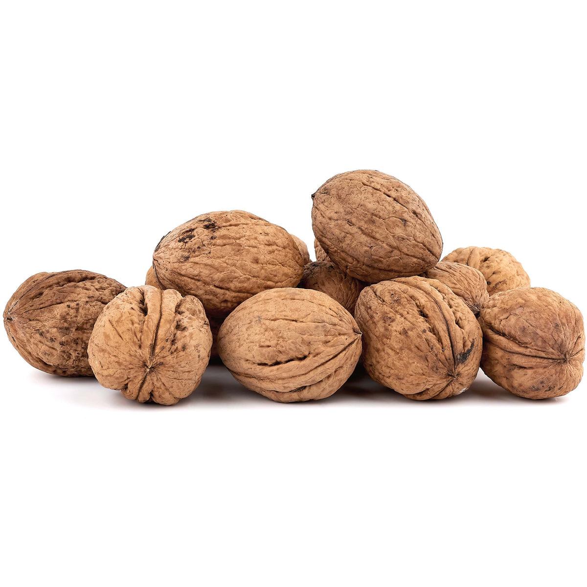 Raw Walnut Shells RAW WALNUTS (IN SHELL) | Fresh Bulk Products | We Roast Nuts