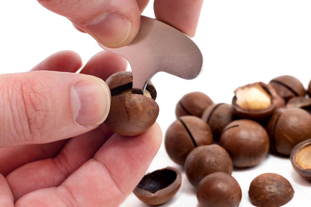 Noix de macadamia rôties à sec en écaille avec saveur de vanille