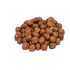 Raw Hazelnuts / Filberts